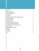 Las grandes Características generales del tejido óseo del hueso alveolar