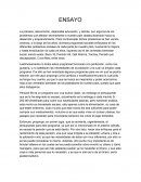 Mejoras en programas de desarrollo