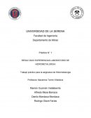 RESULTADO EXPERIENCIAS LABORATORIO DE HIDROMETALURGIA