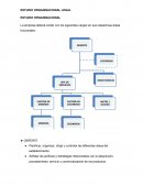 ESTUDIO ORGANISACIONAL LEGAL