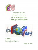 Actividad ¿Por que la guerra?