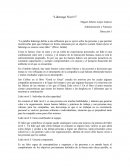 La palabra liderazgo define a una influencia que se ejerce sobre las personas y que permite incentivarlas para que trabajen en forma entusiasta por un objetivo común. Quien ejerce el liderazgo se conoce como líder
