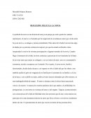 Como va la gran Reflexion Pelicula la novia