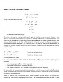 MODELO DE ECUACIONES SIMULTANEAS. Página 2