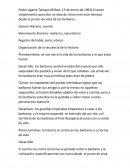 Planteamiento: se nos narra la vida de los barbaros y lo que estos hacían