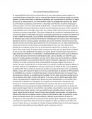 Tarea Ejemplo Responsabilidad Social.