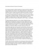 EXPLICACIONES ADICIONALES DE ARCHIVO CON IMAGENES