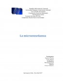 El gran Componente Docente Para la Universidades