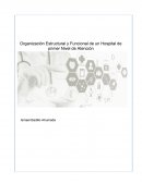 La gran Organización Estructural y Funcional de un Hospital de primer nivel