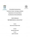 METAMORFOSIS DE LA ESCLAVITUD