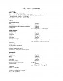 CÁLCULO DE COLUMNAS