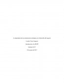 La importancia de la comunicación estratégica en el desarrollo del negocio
