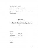 Núcleos de desarrollo endógeno de las TIC