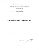 Las Obligaciones Laborales