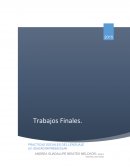 Postura que tienen sobre educación, el contexto histórico en el que surgió