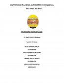 PROYECTO DE DESARROLLO COMUNITARIO