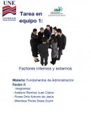 Tarea en equipo 1: Factores internos y externos