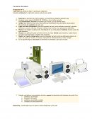 Parcial de Informática completo
