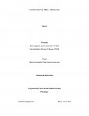 ENTREVISTA A UN NIÑO Y ADOLESCENTE