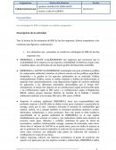 Las estrategias de RSE en España: un análisis comparativo. Casos prácticos