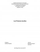 Salud - Los Primeros Auxilios