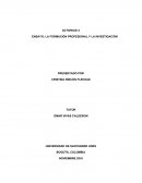 LA FORMACIÓN PROFESIONAL Y LA INVESTIGACIÓN