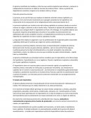 HAYA DE LA TORRE IDEARIO Y ACCION