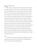 Análisis del Almohadón de plumas