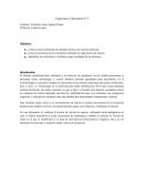 Experiencia de Laboratorio.Tinción bacteriana