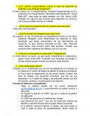 Con cuántos programadores cuenta el área de desarrollo de sistemas y que lenguaje programan?