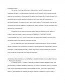 AUDITORIA FINANCIERA A LA EMPRESA CONSTRUCIONES VANGUARDISTAS SAC