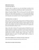 DERECHO DE MARCAS