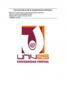 Características de la organización sistémica