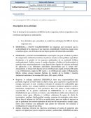 Las estrategias de RSE en España: un análisis comparativo