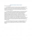 Reporte de Museo: Museo Amparo