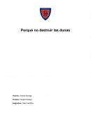 Porqué no destruir las dunas