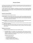 Trabajo de Infracciones Tributarias