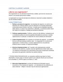 Laudon y laudon capitulo 3