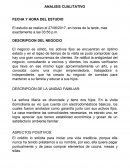 ANALISIS CUALITATIVO DE NEGOCIO