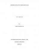 COMO ES EL APRENDIZAJE PRACTICO: EMPLEANDO SCILAB