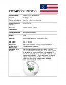 El Refinado de petróleo, coches, aviones, helicópteros y medicamentos envasados.