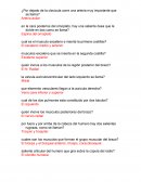 Anatomía ¿Por dejado de la clavicula corre una arteria muy importante que se llama?