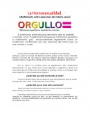 La Homosexualidad. Actividad