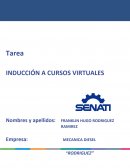 INDUCCIÓN A CURSOS VIRTUALESuridad