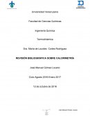 REVISIÓN BIBLIOGRÁFICA SOBRE CALORIMETRÍA