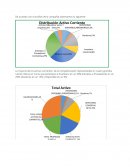 De acuerdo con el análisis de la compañía observamos lo siguiente:La mayoría de los activos corrientes de la compañía están representados en cuatro grandes rubros