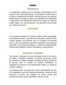 Reingenieria Análisis