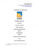 Caso toyota y su desarrollo