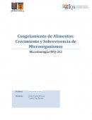 Congelamiento de Alimentos: Crecimiento y Sobrevivencia de Microorganismos