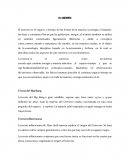 CUAL ES EL UNIVERSO Y SU EVOLUCION